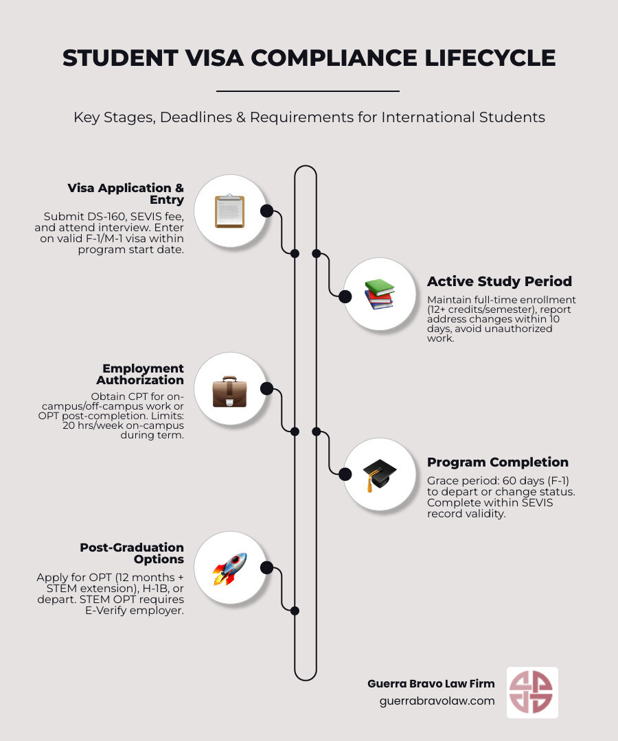 detailed infographic showing student visa compliance lifecycle from application and entry through active study period, employment authorization, program completion, and post-graduation options with key deadlines and requirements at each stage - student visa compliance infographic